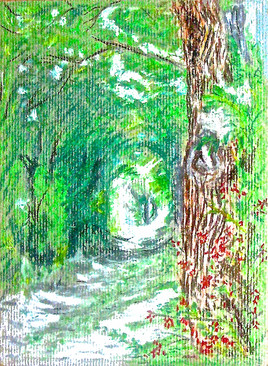 Tunnel végétal / Drawing :  a forested tunnel