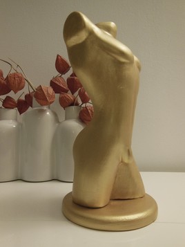 Buste homme nu or m&eacute;tallis&eacute; gay int.