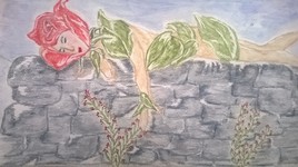 Rose d&eacute;licate