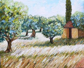 oliviers de Provence