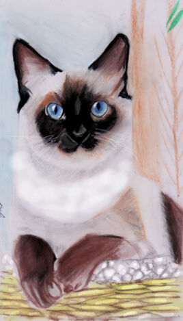 dessin du 16 novembre 2025