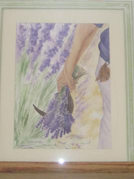 Cueilleur de lavande