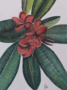 Voyage olfactif Voyage olfactif