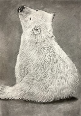douceur d'un ours en peluche