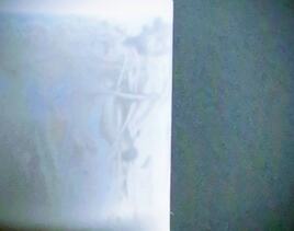 Profil tr&egrave;s clair.