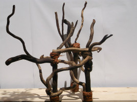 La chasse dans les eaux troubles