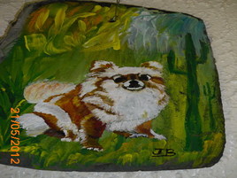 Dita chien mexicain CHIWAWA