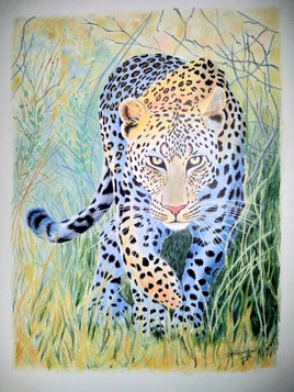 L&eacute;opard du matin