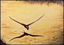 Hirondelle rustique p&ecirc;chant au soleil couchant / Painting : a rustic swallow fishing at sunset