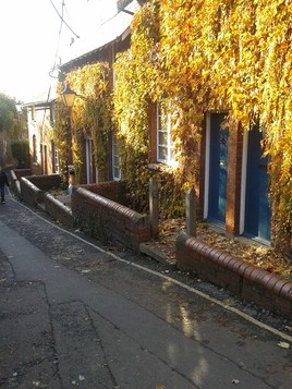 Hereford, l'automne