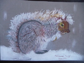 Ecureuil sous la neige