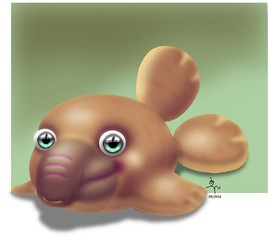 SD éléphant de mer