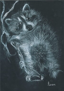 Raton laveur(j'y suis j'y reste)