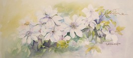 CLEMATITES BLANCHES