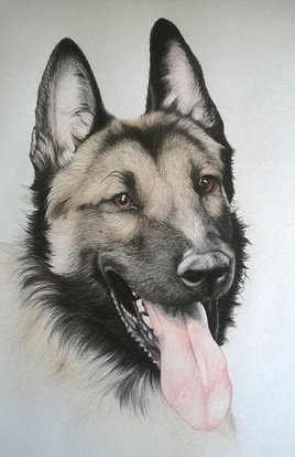 Mon Toutoun&eacute;t