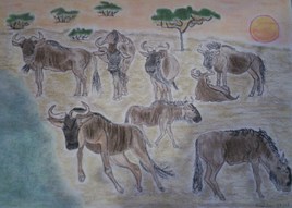 Gnous se reposant au bord de l'eau