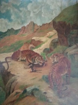 les tigres