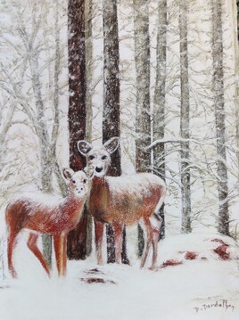 # biches sous la neige