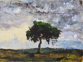 Le petit arbre de la C&ocirc;te