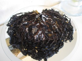 Feuille de n&eacute;nuphar