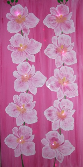 ORCHIDEES LUMINEUSES