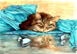 chat et le foulard turquoise