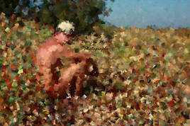 ... Perdu dans la nature ...