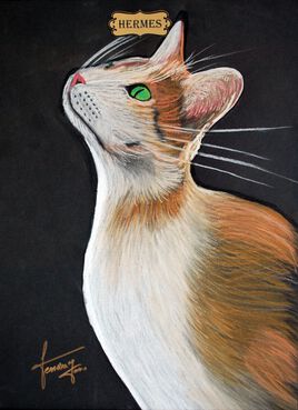 Collections de 12 &oelig;uvres  Chats Dieux   HERMES