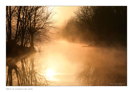 Lever du jour dans une boire de Loire