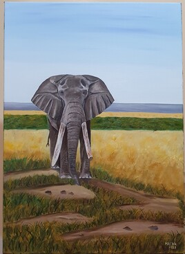 L'&eacute;l&eacute;phant dans la savane