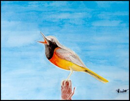 Le rouge-queue &agrave; front blanc / Painting : the white-fronted redstart