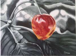 la derni&egrave;re cerise