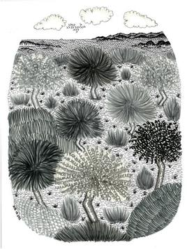 Piantarella, dessins de JCh - JCh.18.395