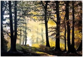 Brume lumineuse en for&ecirc;t