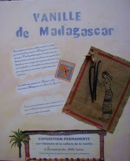 Vanille de Madagascar