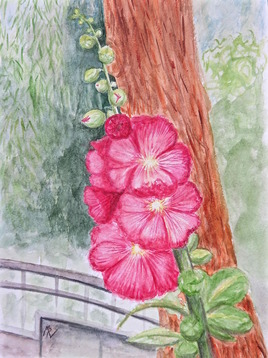 La rose trémière (Alcea rosea) / Watercolor Hollyhock’s flower