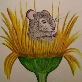 Une fleur bien confortable !