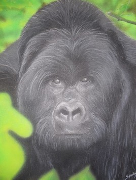 Gorille