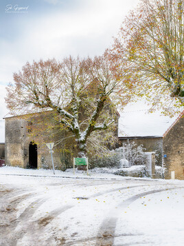 Matin&eacute;e blanche.