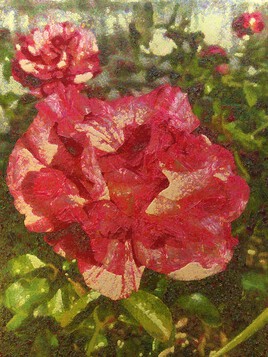 alfred sisley roses