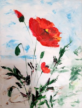 coquelicots