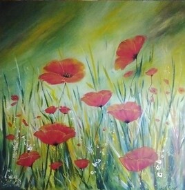 Champs de coquelicots