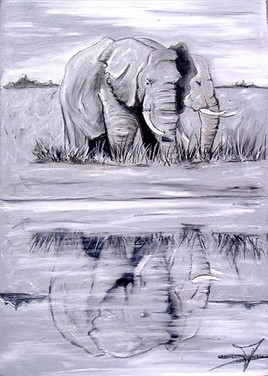 El&eacute;phants effet miroir
