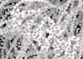 Les points sur la feuille