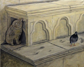289 - Jeune chat et vieux pigeon, mefiance reciproque.