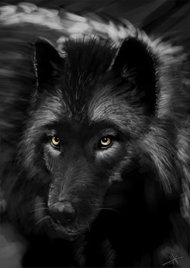 Loup Noir