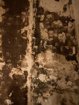 Ligne blanche Afrique