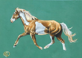 Mustang M&eacute;t&eacute;or