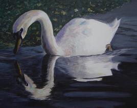 cygne blanc