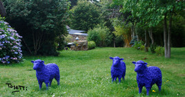 Les moutons bleus